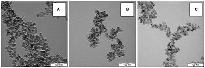 Cerium Oxide-Decorated γ-Fe2O3 Nanoparticles: Design, Synthesis and in vivo Effects on Parameters of Oxidative Stress